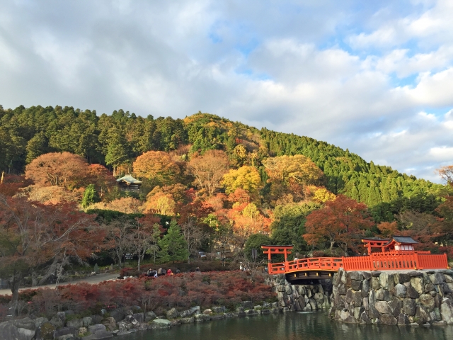 As the crisp autumn air settles in and the vibrant colors of fall begin to emerge, Osaka transforms into a spectacular destination for those seeking something beyond the typical tourist spots. While places like Osaka Castle and Dotonbori are famous for their beauty, Osaka also offers hidden autumn treasures that provide an authentic, peaceful experience far from the crowds. Whether you’re a nature lover, culture enthusiast, or someone simply looking for a quiet retreat, these niche autumn attractions in Osaka will surely leave you mesmerized. Let’s explore the hidden gems this beautiful city has to offer!