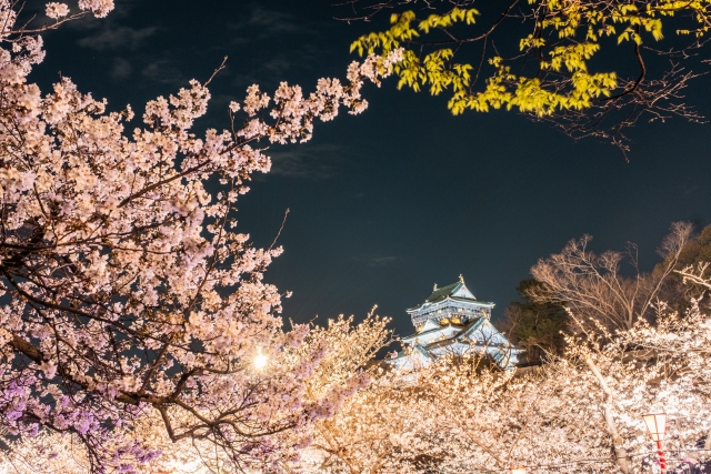 Osaka is known for its warm, mild climate, making it a great destination throughout the year. Understanding the city's seasonal weather will help you plan a more enjoyable trip. In this article, I'll explore the climate in Osaka throughout the year and recommend the best times for sightseeing.